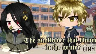 The sunflower that blooms in the winter •GLM•   ||1/2||