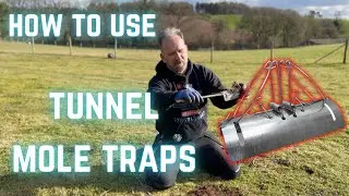 How to set - TUNNEL MOLE TRAP - aka - BARREL MOLE TRAP