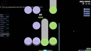 253pp