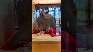 Wanuskewin Heritage Centre in Saskatoon, Saskatchewan: The History of the Northern Plains People