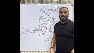 الاتصال العصبي تأثير المخدرات بكالوريا