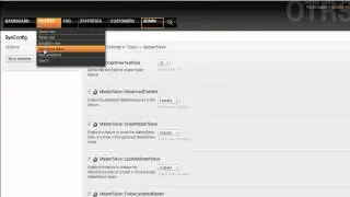 OTRS Packages: MasterSlave Vs OTRS Master Slave