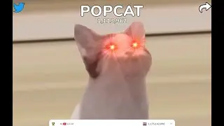 POPCAT Hack