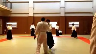 In the Dojo - Aikishima - Early Saturday Mornings