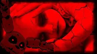 Das schrecklichste Video im Darknet? - Daisy's Destruction