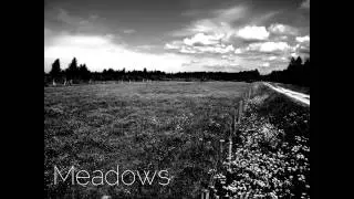 Meadows - Save Those Whales