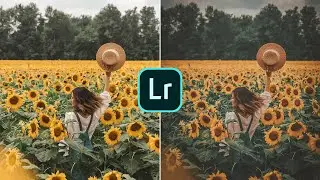 Free Lightroom CC Mobile Preset | Folk Moody That Makes You Connect With Nature
