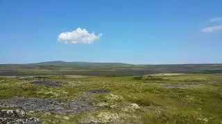 Олень3.mp4