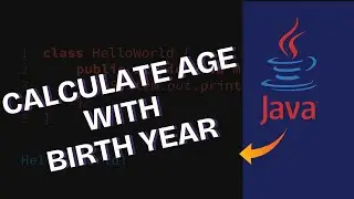 How to Calculate Age with Birth Year in Java 2025?