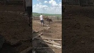 За плохое поведение.