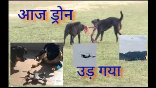 A#morning#walk#sadi#blogger#vlog #drone#dronefootage#dronevideo#camera #Sandycandy#indian#street#dog