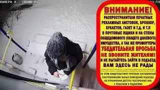 Распространительница рекламы представляться почтой 07.12.2021