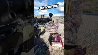 Some fireforming and quick sight-in with the .243 Ackley Improved. 