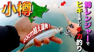 【小樽】デカいチカ、簡単に釣れます！鱒レンジャーで引きが楽しい！【前編】