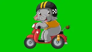 green screen Gajah bermotor