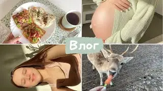 Влог беременяшки 🤰🏽 Наступил 9 месяц беременности | Сумка в роддом