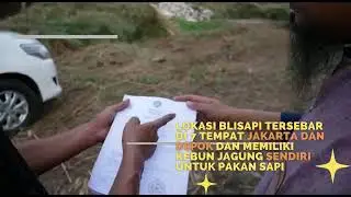 sapi kurban #shorts