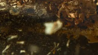 H&S Tee Produktion