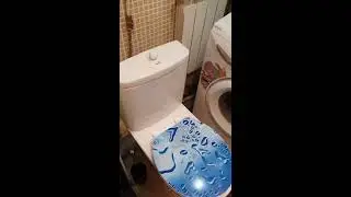 студия