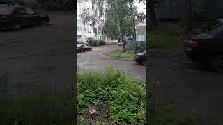 Пробник