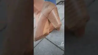 summer high heels presentation 