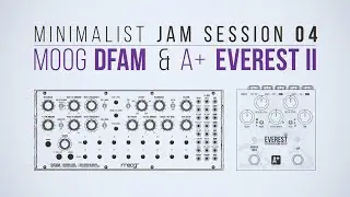 Moog DFAM & A+ by Shift Line Everest II | Minimalist Jam Session 04
