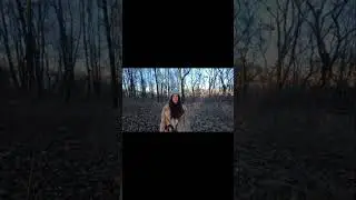 вести свою линию 