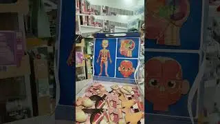 MAGNETIC BODY MAGNET