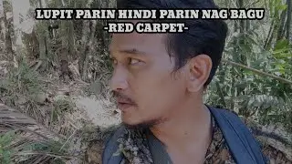 LUPIT PARIN MGA PAPS..# RED-CARPET