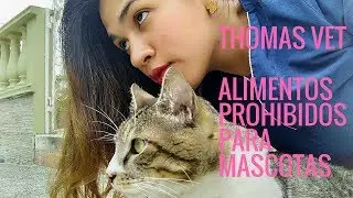 Alimentos prohibidos para mascotas - Thomas Vet