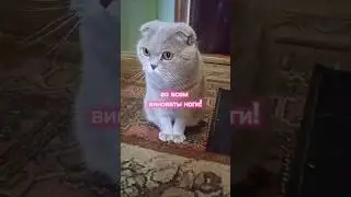 Во всем виноваты ноги🤣