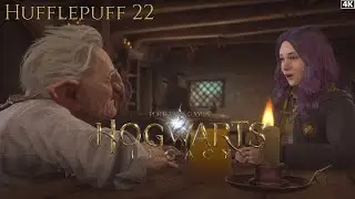 Hogwarts Legacy Gameplay - Part 22 | Hufflepuff | No Commentary | 4K