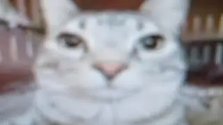 mems i made on capcut pt.1