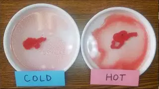 How to Solve Solubility Curve Problems (with Demonstration!)