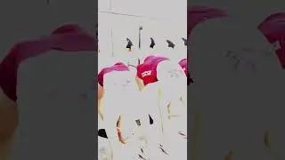 Не сомневайтесь в своих успехах  💪🏻