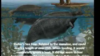 12 Interesting Animals That Are Extinct Because of Humans