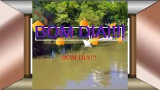 BOM DIA!