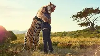 Tiger : Documentary | Sunda vs Continental Tigers | All about Tigers