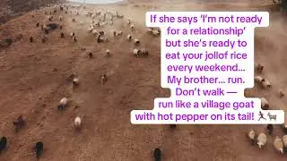 run like a village goat with hot pepper on its tail