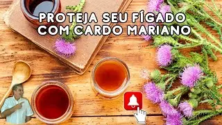 Como o Cardo Mariano Pode Transformar a Saúde do Seu Fígado em Dias