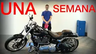COMO HACER UN TRATAMIENTO CERÁMICO EN UNA MOTO @harleydavidsonpeople