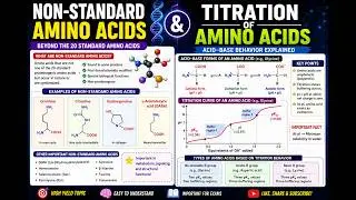 #biomolecule #RNA #DNA #proteins #amino acids # nucleic acids #trending #viral #non standard AA