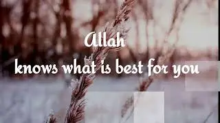 Allah knows