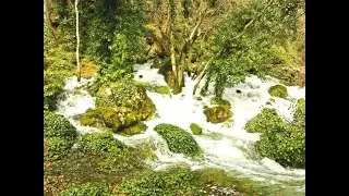 Об источнике под Ай-Петри.  Крымские легенды