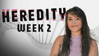 (CS50 AI) HEREDITY | SOLUTION