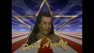 Perro Aguayo vs. Fishman