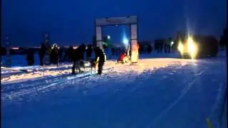 Ездовой спорт, гонки на собачьих упряжках