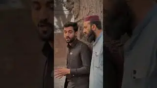 Mor Plar Meena #ibkhanvines #ibkhanShorts #shorts #imrankhanpti