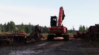 Harvesting at the B&D Tree Farm - Shovel Logging