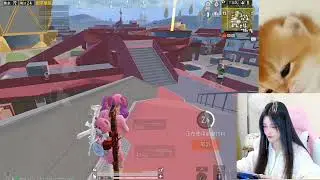 Chill Chinese Pubg  mobile gameplay with RouRou 🥰